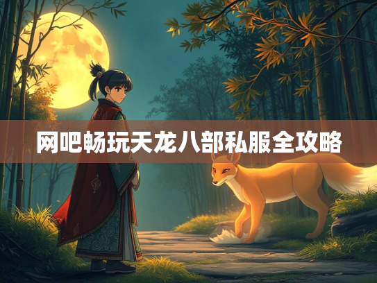 网吧畅玩天龙八部私服全攻略  第2张