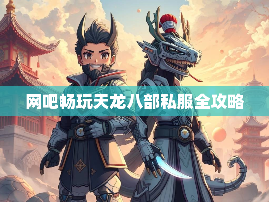 网吧畅玩天龙八部私服全攻略  第3张