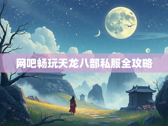 网吧畅玩天龙八部私服全攻略
