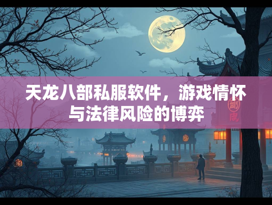 天龙八部私服软件，游戏情怀与法律风险的博弈  第2张