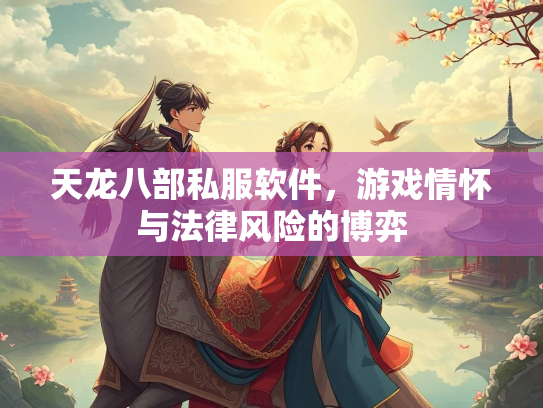 天龙八部私服软件，游戏情怀与法律风险的博弈