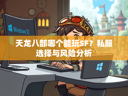 天龙八部哪个能玩SF？私服选择与风险分析  第2张