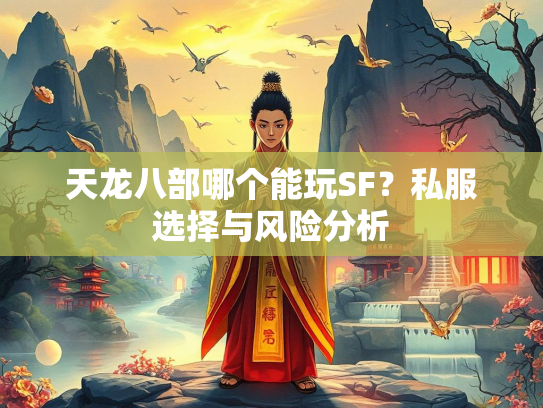 天龙八部哪个能玩SF？私服选择与风险分析