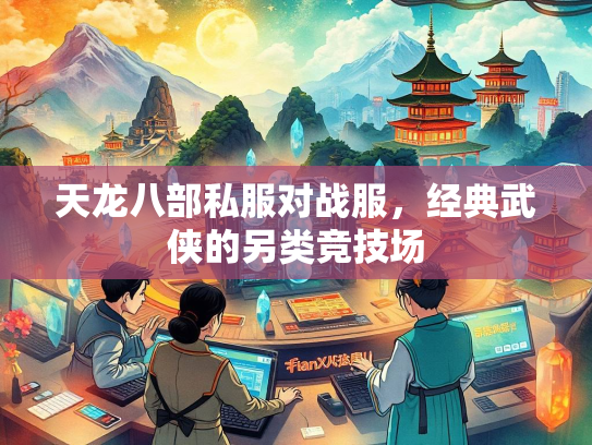 天龙八部私服对战服，经典武侠的另类竞技场  第2张