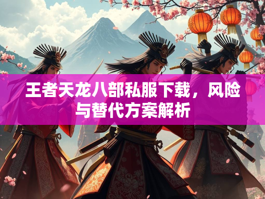 王者天龙八部私服下载，风险与替代方案解析  第3张