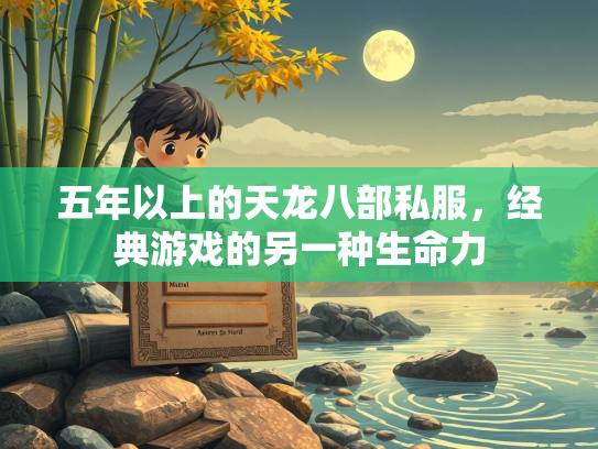 五年以上的天龙八部私服，经典游戏的另一种生命力  第2张