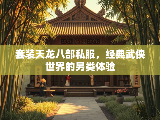 套装天龙八部私服，经典武侠世界的另类体验  第1张
