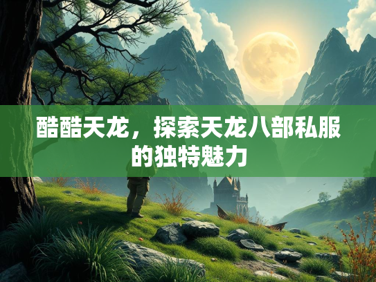 酷酷天龙，探索天龙八部私服的独特魅力  第3张
