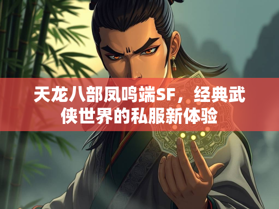 天龙八部凤鸣端SF，经典武侠世界的私服新体验  第2张