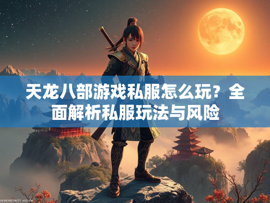天龙八部游戏私服怎么玩？全面解析私服玩法与风险  第1张