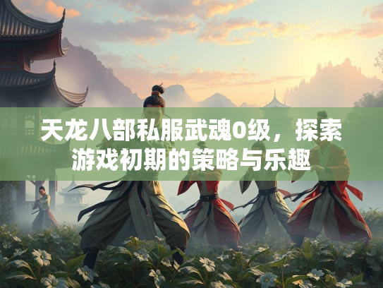 天龙八部私服武魂0级，探索游戏初期的策略与乐趣  第2张