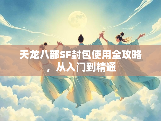 天龙八部SF封包使用全攻略，从入门到精通  第3张