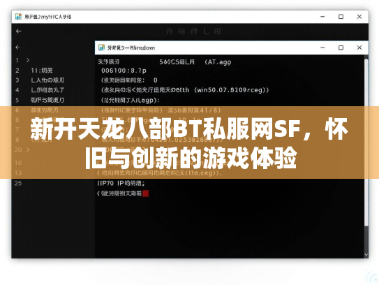 新开天龙八部BT私服网SF，怀旧与创新的游戏体验  第2张