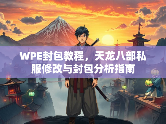 WPE封包教程，天龙八部私服修改与封包分析指南  第3张