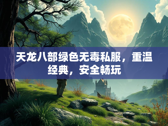 天龙八部绿色无毒私服，重温经典，安全畅玩  第2张