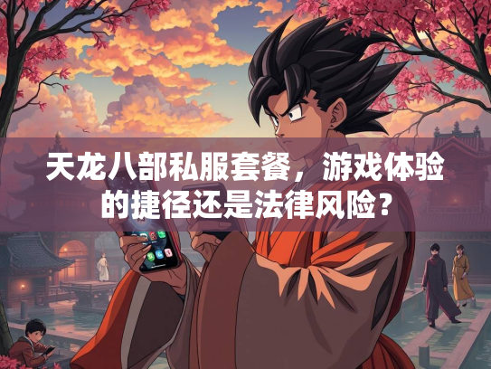 天龙八部私服套餐，游戏体验的捷径还是法律风险？  第2张