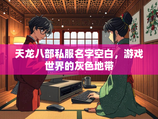 天龙八部私服名字空白，游戏世界的灰色地带  第2张