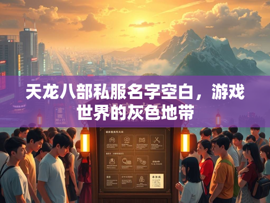天龙八部私服名字空白，游戏世界的灰色地带