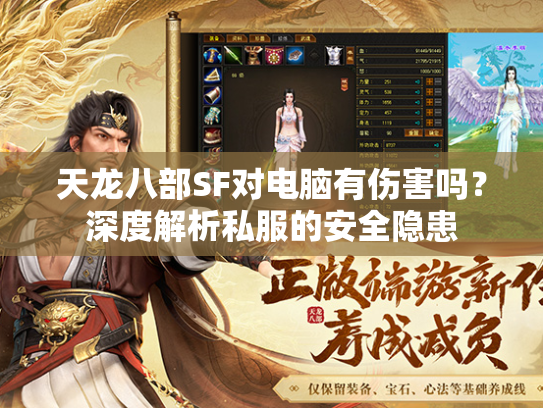天龙八部SF对电脑有伤害吗？深度解析私服的安全隐患  第2张