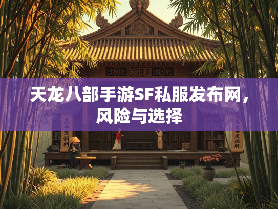天龙八部手游SF私服发布网，风险与选择  第2张