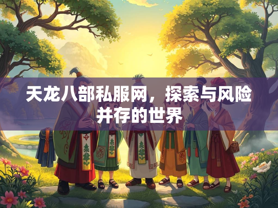 天龙八部私服网，探索与风险并存的世界  第3张