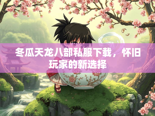 冬瓜天龙八部私服下载，怀旧玩家的新选择  第2张