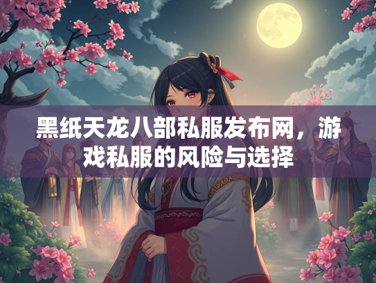 黑纸天龙八部私服发布网，游戏私服的风险与选择  第2张