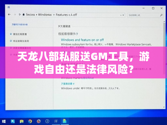 天龙八部私服送GM工具，游戏自由还是法律风险？  第2张