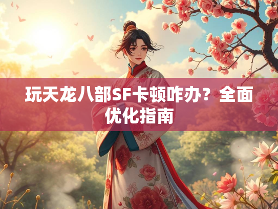 玩天龙八部SF卡顿咋办？全面优化指南  第2张