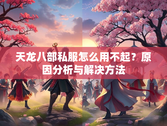 天龙八部私服怎么用不起？原因分析与解决方法  第2张