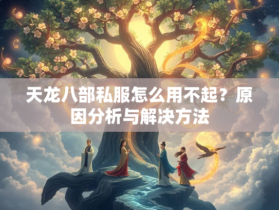 天龙八部私服怎么用不起？原因分析与解决方法  第1张