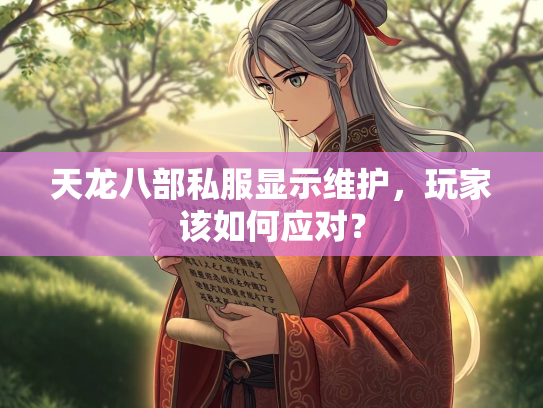 天龙八部私服显示维护，玩家该如何应对？  第1张