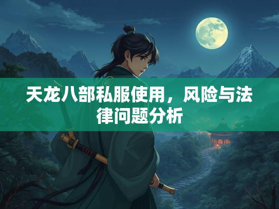 天龙八部私服使用，风险与法律问题分析  第2张