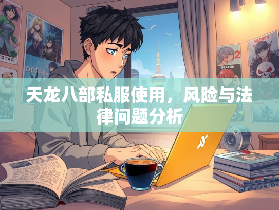 天龙八部私服使用，风险与法律问题分析