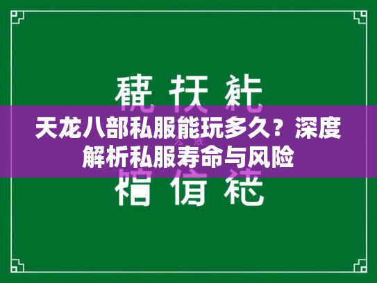 天龙八部私服能玩多久？深度解析私服寿命与风险  第3张