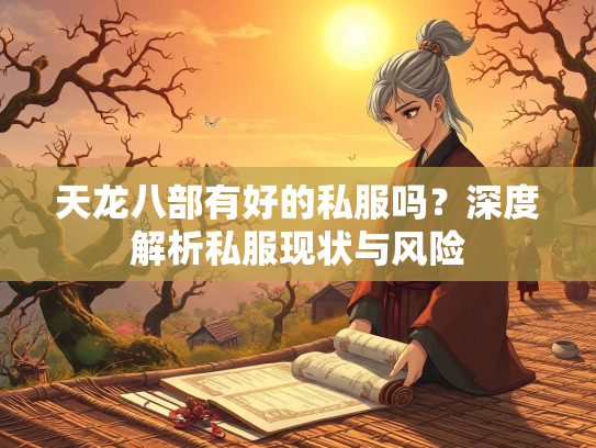 天龙八部有好的私服吗？深度解析私服现状与风险  第2张