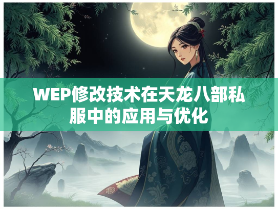 WEP修改技术在天龙八部私服中的应用与优化  第3张