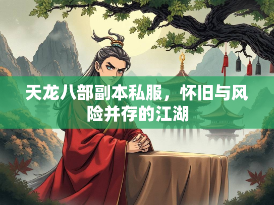 天龙八部副本私服，怀旧与风险并存的部副本私江湖  第1张
