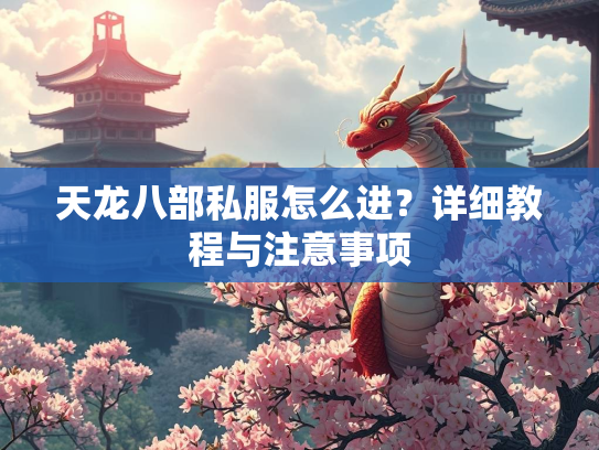 天龙八部私服怎么进？详细教程与注意事项  第2张