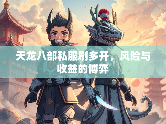 天龙八部私服刷多开，风险与收益的博弈  第3张