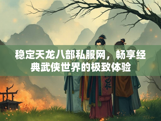 稳定天龙八部私服网，畅享经典武侠世界的极致体验  第3张