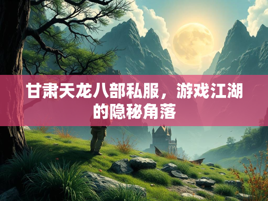 甘肃天龙八部私服，游戏江湖的隐秘角落  第1张