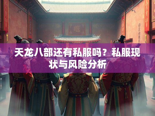 天龙八部还有私服吗？私服现状与风险分析  第2张