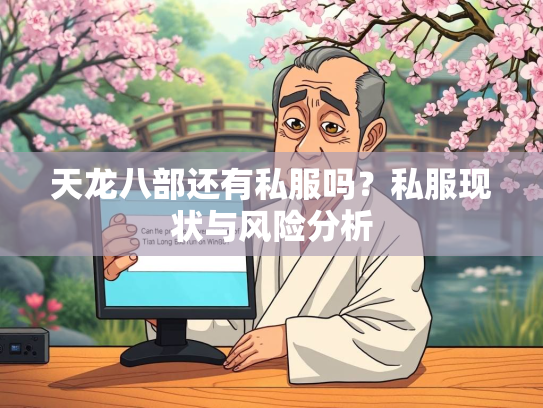 天龙八部还有私服吗？私服现状与风险分析  第3张