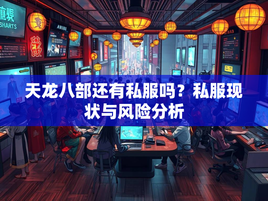 天龙八部还有私服吗？私服现状与风险分析  第1张