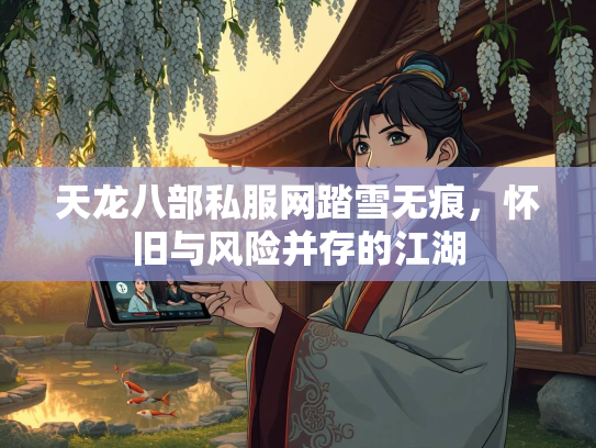 天龙八部私服网踏雪无痕，怀旧与风险并存的江湖  第3张