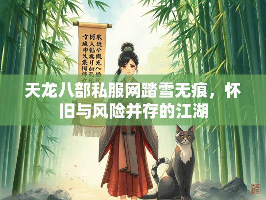 天龙八部私服网踏雪无痕，怀旧与风险并存的无痕江湖  第1张