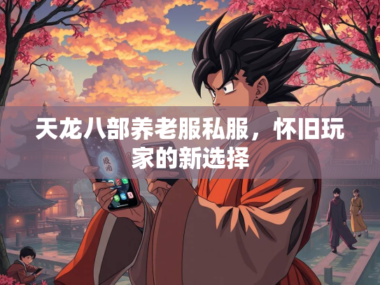 天龙八部养老服私服，怀旧玩家的新选择  第1张