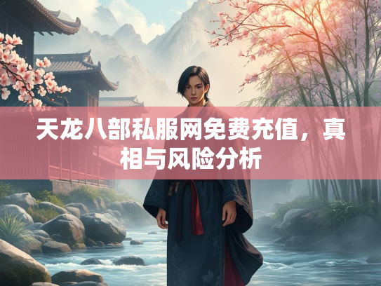 天龙八部私服网免费充值，真相与风险分析  第3张