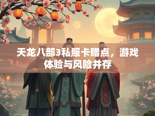 天龙八部3私服卡赠点，游戏体验与风险并存  第3张